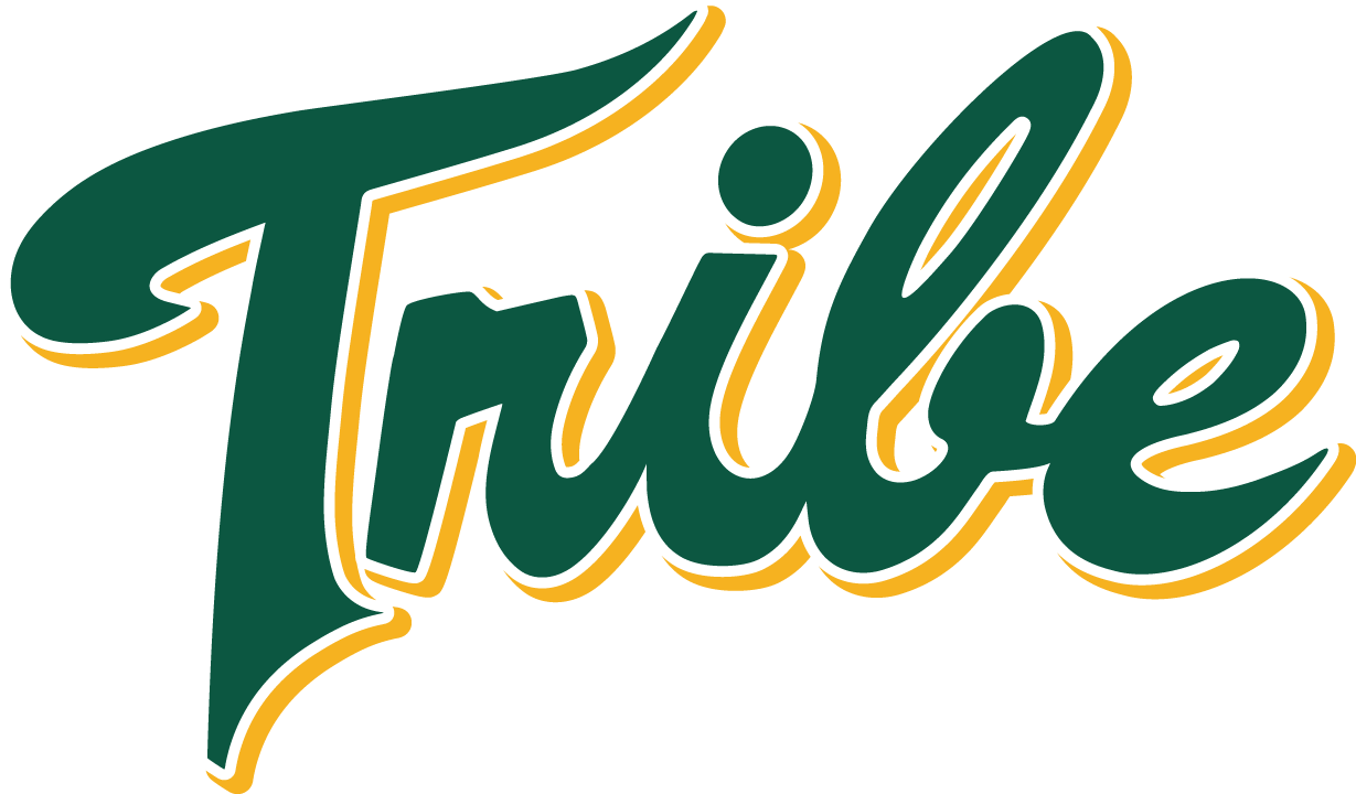 William and Mary Tribe 2016-2017 Alternate Logo iron on transfers for clothing